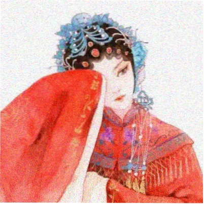 读者白茶的头像